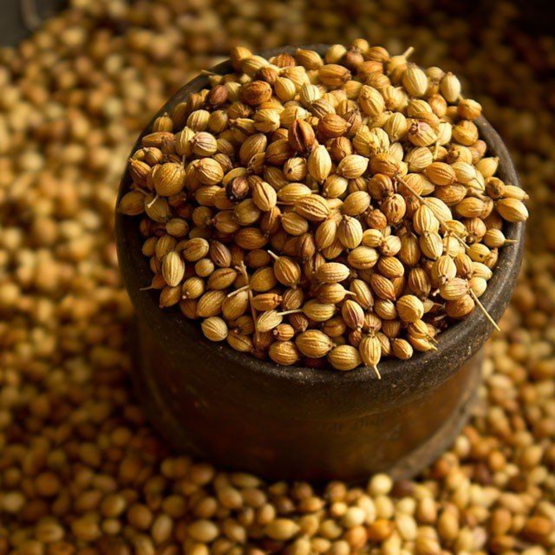 Coriander Seeds